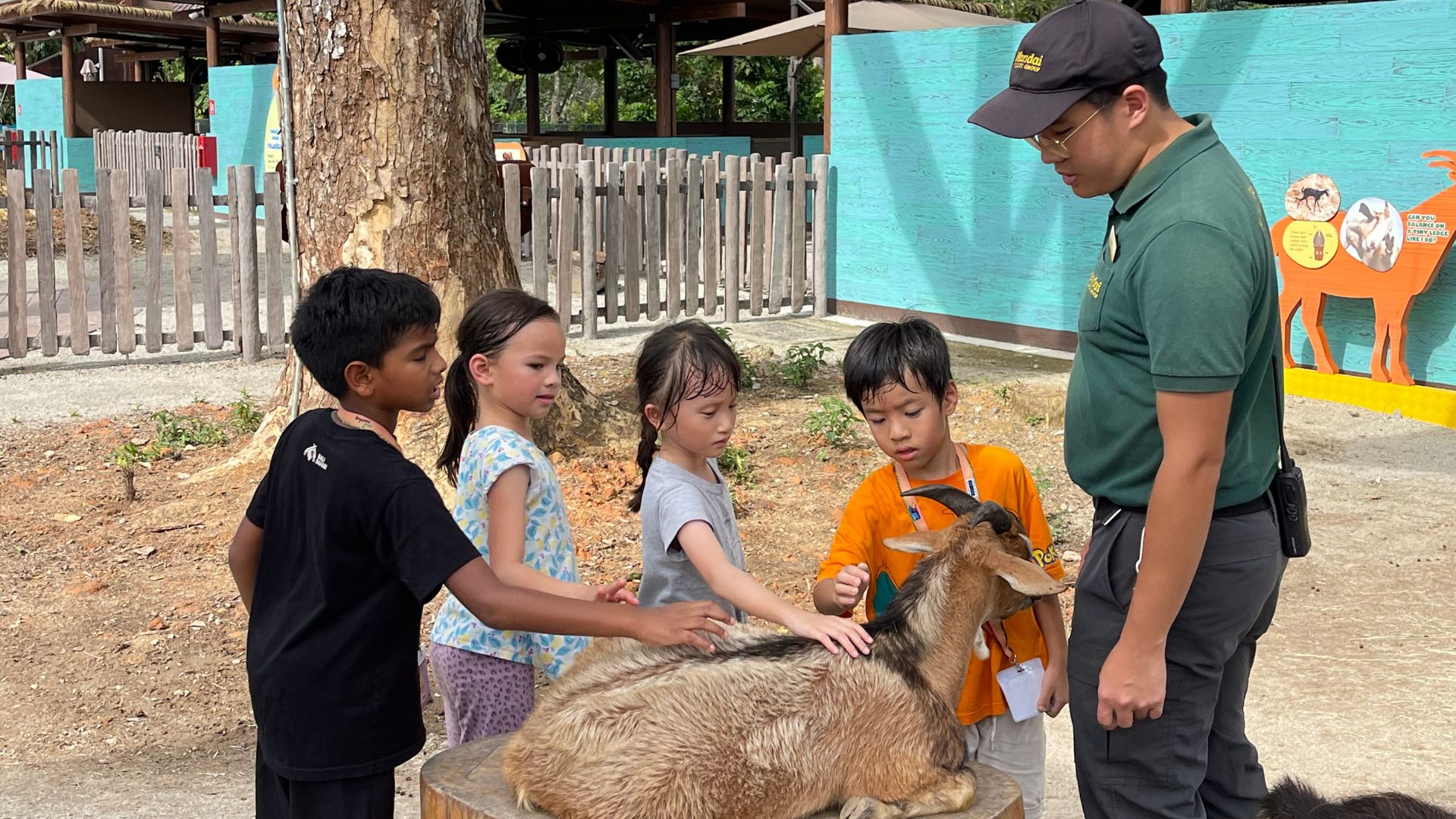 This is a perfect package for families with kids! Stay in a rainforest–inspired accommodation, furnished with a bunk bed and a kid’s corner. Enjoy a family–friendly retreat with a Wild Zoo Day Camp inclusive in this stay package.